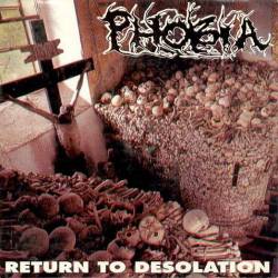 Return to Desolation